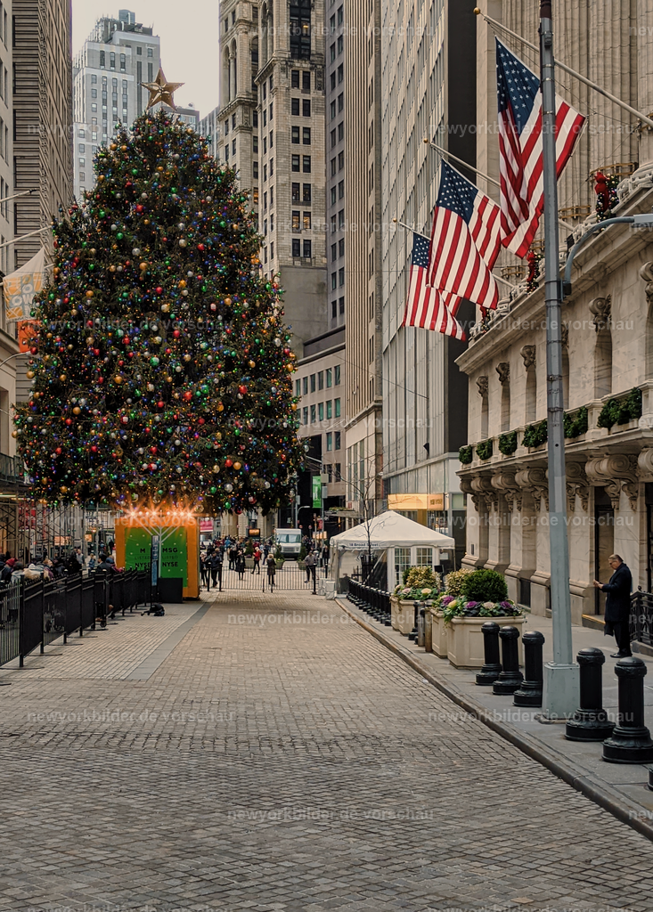 Weihnachtszauber an der Wall Street – Der Christmas Tree von Downtown Manhattan | Der Christmas Tree an der Wall Street gehört zu den schönsten der Stadt – nicht so überlaufen wie am Rockefeller Center, dafür mit einer einzigartigen Atmosphäre. Umgeben von den historischen Gebäuden der Finanzwelt und dem Glanz der Lichter entsteht hier ein Ort, der festliche Ruhe ausstrahlt. Wer den Baum in seiner ganzen Pracht erleben möchte, sollte spät am Abend vorbeischauen – dann zeigt sich die Wall Street von ihrer magischen Seite. Dieses Foto fängt die Eleganz und den Charme der Holiday Season in Downtown Manhattan ein: ein Zusammenspiel aus Tradition, Architektur und Licht, das den Zauber von Weihnachten in New York perfekt verkörpert.