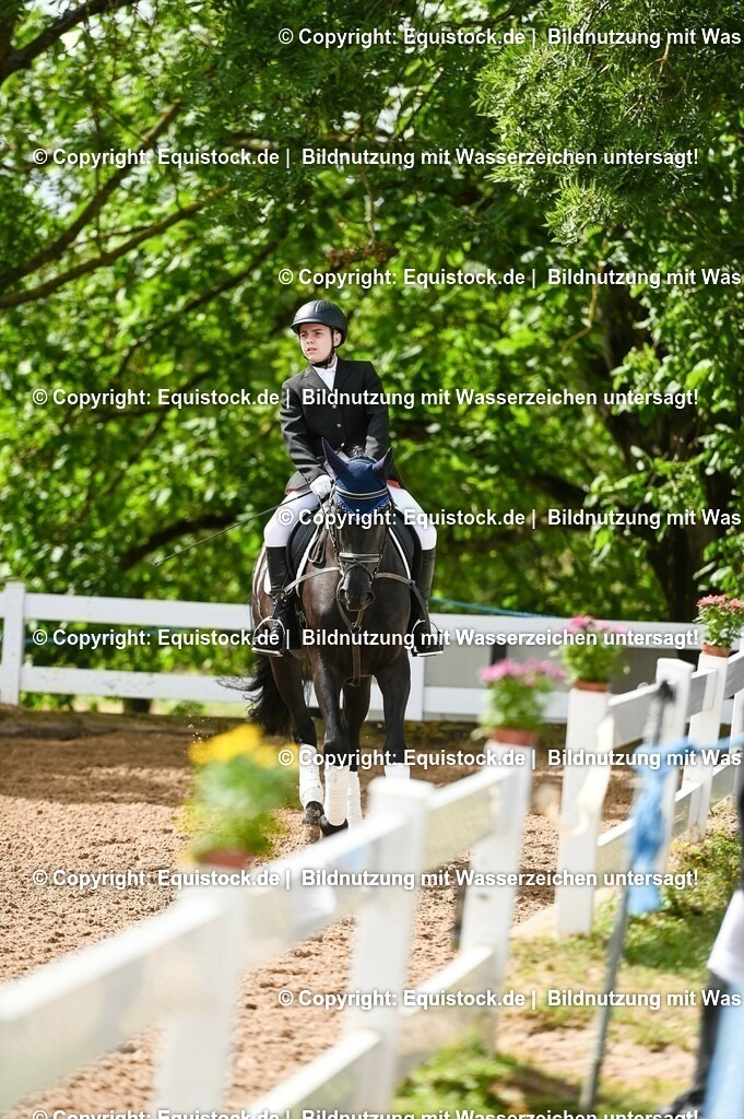 20230716_10-1_Reiter-WB Schritt - Trab - Galopp_0159 | equistock