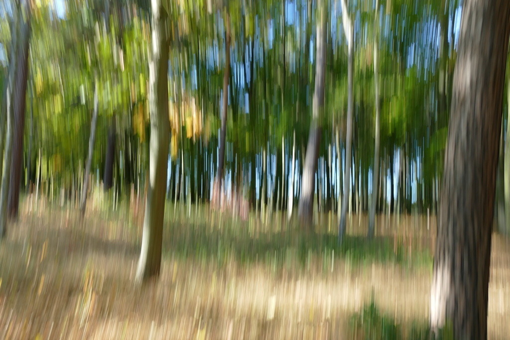 P4040983 | Annaeherungen - Realisiert mit Pictrs.com