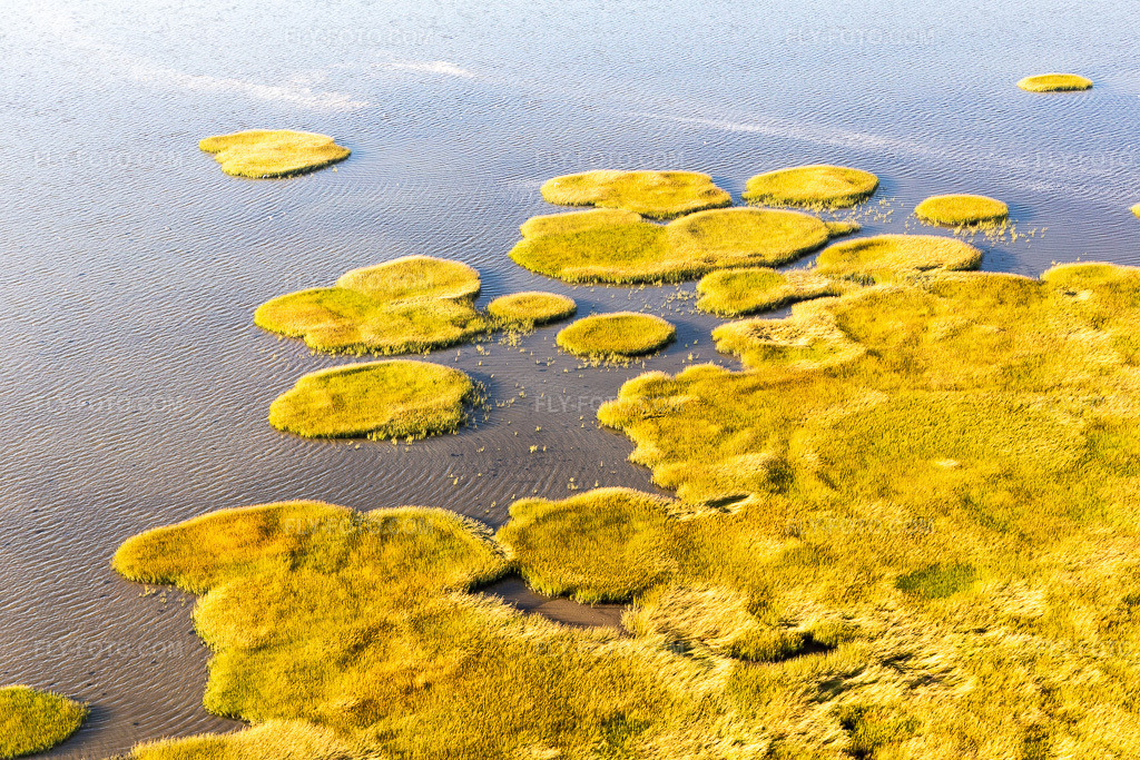 Aerial view: Wadden Sea National Park in Fanø in the state South Denmark, Denmark.Photo: IMG_118839.jpg taken on 09/21/2019 by Werner Riehm/FLY-FOTO.comResolution of the original: 5472 x 3648 px