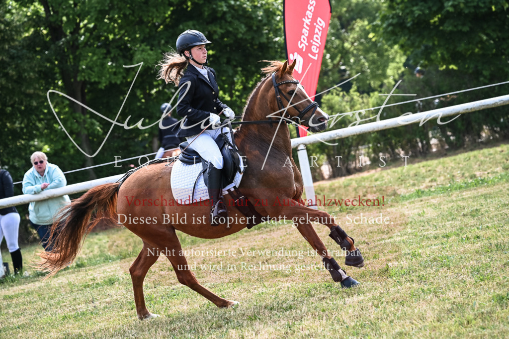 DSC_8577 | Pferde- und Turnierfotografie in Westsachsen. Pferdeportraits, Auftragszeichnungen und intuitive Kunst.