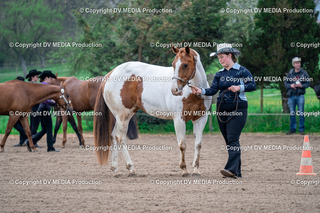 BA300006 | dv-media-shop - Realisiert mit Pictrs.com