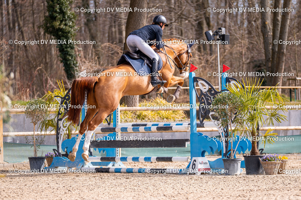 Kranichstein Tag 1-517 | dv-media-shop - Realisiert mit Pictrs.com