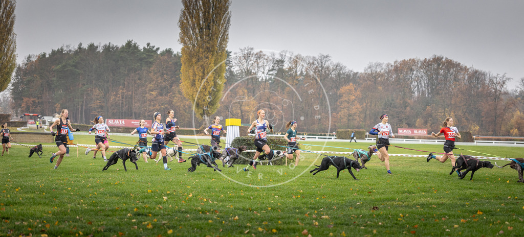 CaniXpix_DV3A8738 | Hundefotografie, Tierfotograf, Pfotenfotografie, Fotoshooting Hund, Hunde Portrait, Hundesport, Hundeportraits, Heideshooting, Hunde, Sportfotograf, Hundefotograf, Turnierhundsport, THS,  - Realisiert mit Pictrs.com