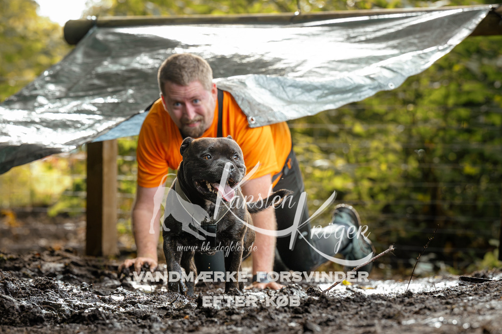 1458DZ6_4105Z6 | kk-dogfotos