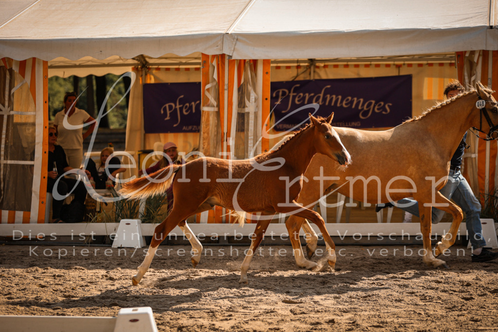 11.DoRP00049 | Leoni Ertmer Photography - Realisiert mit Pictrs.com