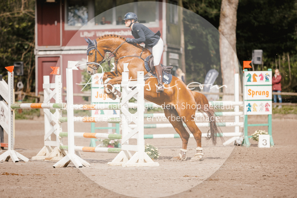 3I6A4294 | Stimmungsvolle Portraits und Reitsportfotografie im Ruhrgebiet und im Münsterland.

Pferdefotografie, Hundefotografie, Tierfotografie, Reportagen, Portraits von Tier und Mensch, Turnierfotografie in Bochum, Recklinghausen, Marl, Haltern am See, Dülmen.. - Realisiert mit Pictrs.com