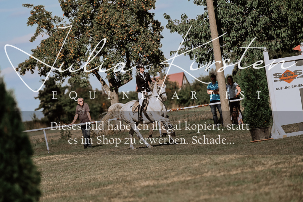 DSC_9486 | Pferde- und Turnierfotografie in Westsachsen. Pferdeportraits, Auftragszeichnungen und intuitive Kunst.