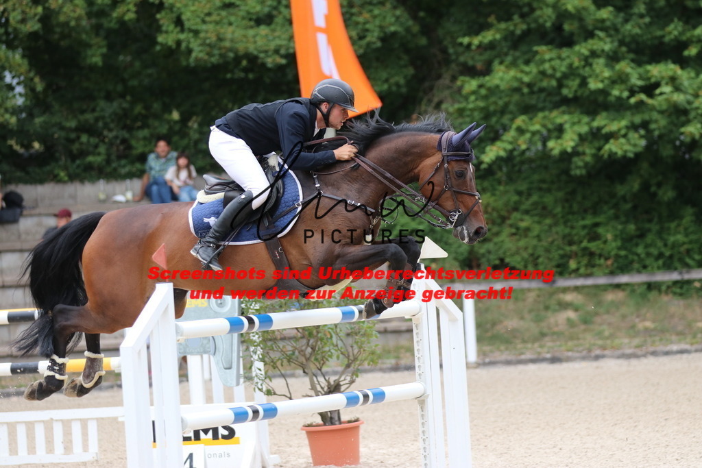 IMG_2635 | lmwpictures - Realisiert mit Pictrs.com