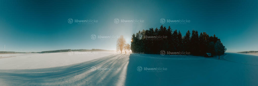 Die Bauminsel im Schnee | löwenblicke | shop