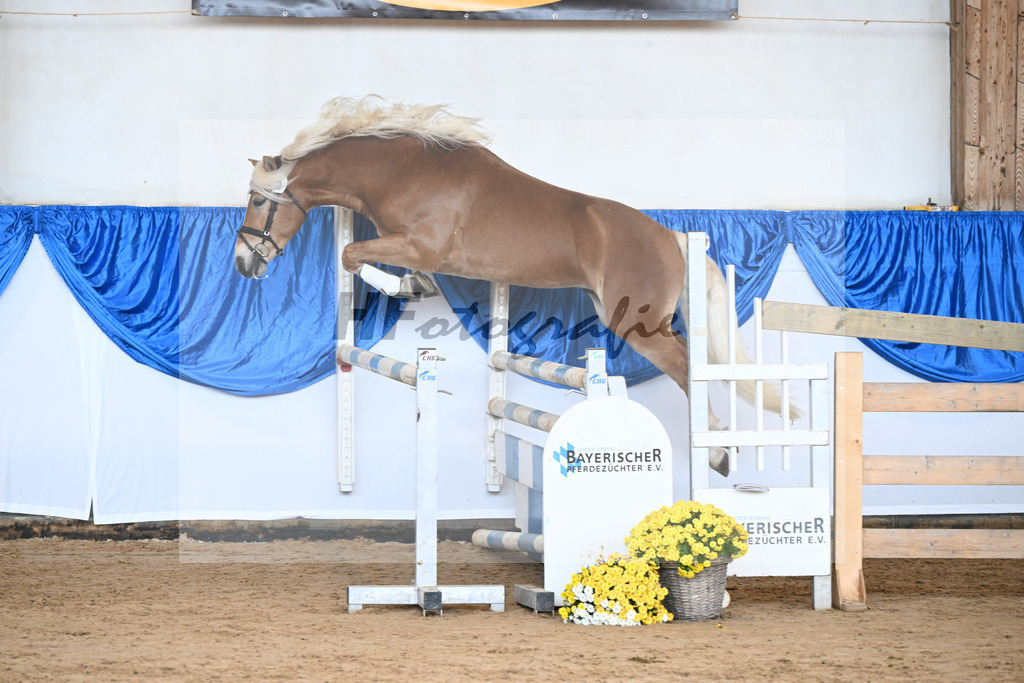 Kat-Nr. 5 Balios AW v. Bugatti_Wolf_48250136 | hf-fotografie - Realisiert mit Pictrs.com