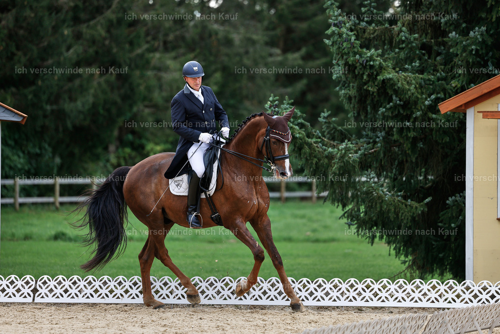 11-092-Dressur S___-Marixx-1599 | working equitationturnier fotograf videograf stoibphotography marixx film working equitation deutschland reitsport turnierfotografie eventfotografie equestrian events