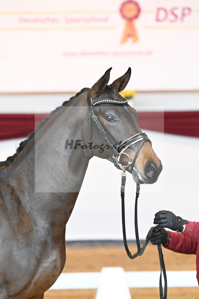Kat-Nr. 9 v. Bonds_Schmidt_66221683 | hf-fotografie - Realisiert mit Pictrs.com