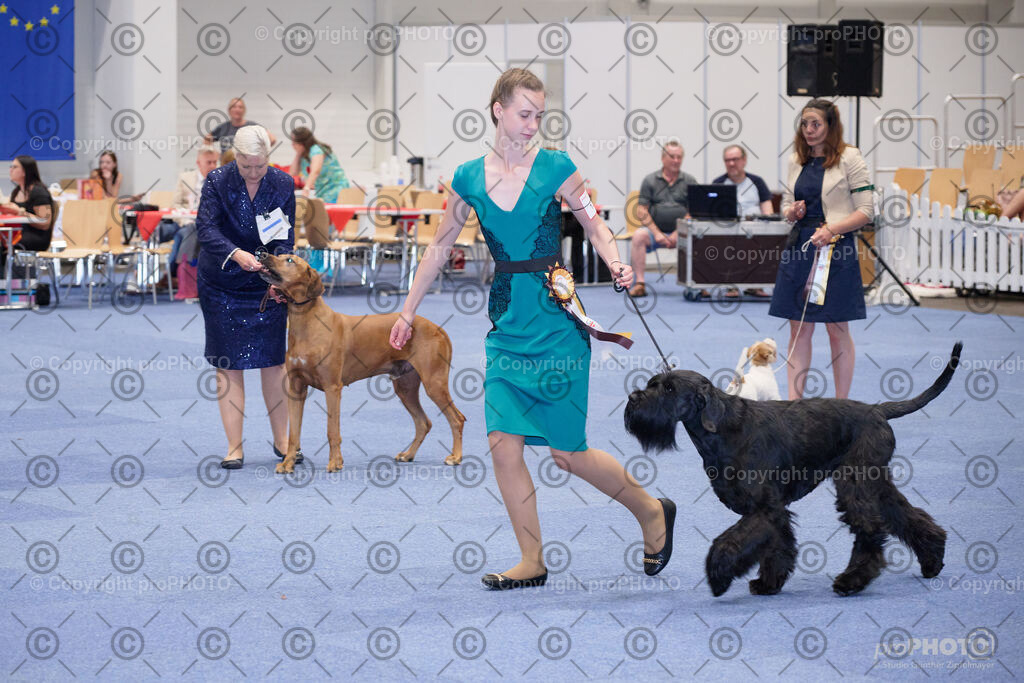 202406_ÖKV-IHA-Tulln24_NZ9_7778 | proPHOTO - Realisiert mit Pictrs.com