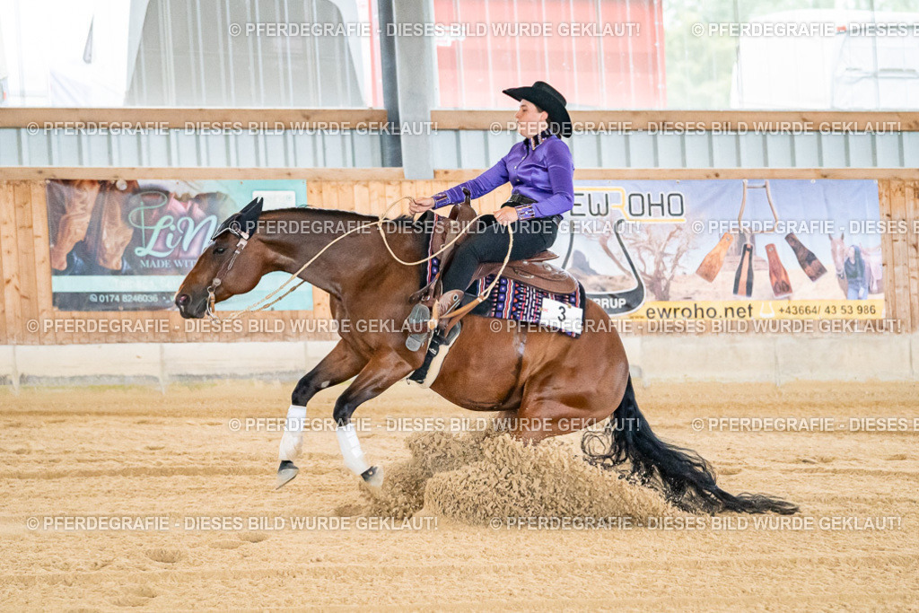 DSC06212 | Pferdegrafie