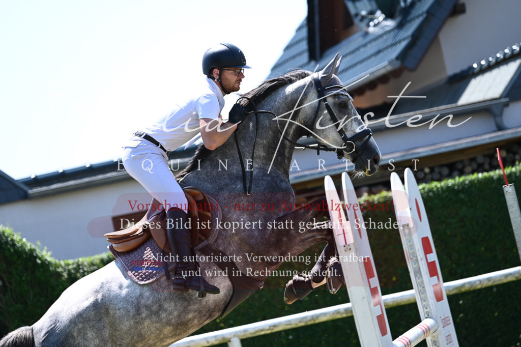 DSC_0560 | Pferde- und Turnierfotografie in Westsachsen. Pferdeportraits, Auftragszeichnungen und intuitive Kunst.