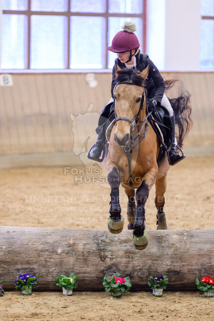 29032026-Schwaiganger-Prfg01-309 | Fokus Hufschlag Fotografie - Realisiert mit Pictrs.com