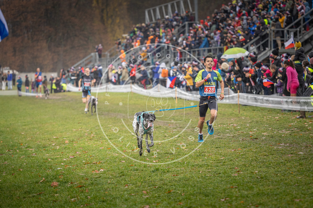 CaniXpix_DV3A9617 | Hundefotografie, Tierfotograf, Pfotenfotografie, Fotoshooting Hund, Hunde Portrait, Hundesport, Hundeportraits, Heideshooting, Hunde, Sportfotograf, Hundefotograf, Turnierhundsport, THS,  - Realisiert mit Pictrs.com