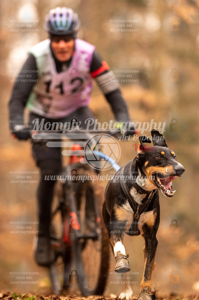 AKM_ST_2023_SAM_Bike-128 | PayLife