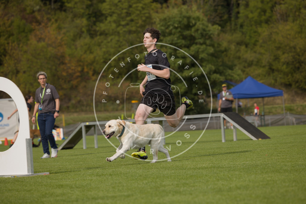 0L8A3585 | Hundefotografie, Tierfotograf, Pfotenfotografie, Fotoshooting Hund, Hunde Portrait, Hundesport, Hundeportraits, Heideshooting, Hunde, Sportfotograf, Hundefotograf, Turnierhundsport, THS,  - Realisiert mit Pictrs.com