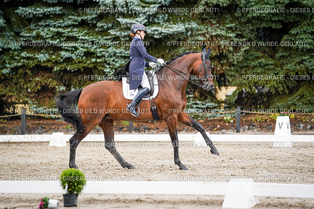 DSC00129 | Pferdegrafie