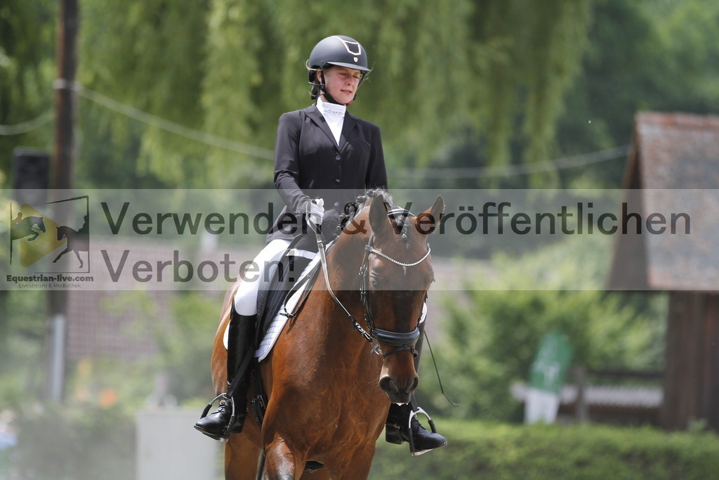 _MG_9462 | equestrian-live-com