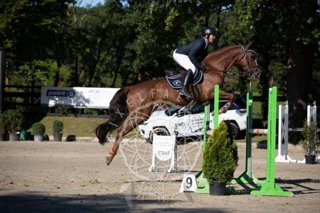 2B4A0673 | pixelfaenger - Realisiert mit Pictrs.com