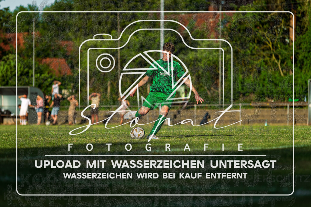 SVSTSV-1045 | Fotografie Stopat - Realisiert mit Pictrs.com