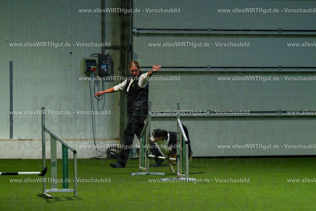 7R507626 | Professionelle Tierfotografie in Mönchengladbach von Daniel Wirth (allesWIRTHgut). Liebevolle & natürliche Bilder von Hunden & Katzen für unvergessliche Erinnerungen.