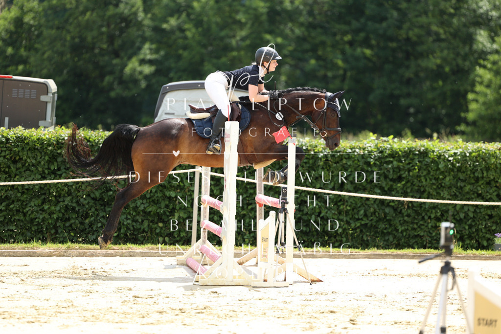 IMGM1931 | pl-fotografie