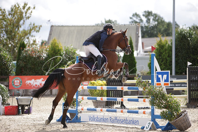 1J2A2107Niclas Aromaa_ Casino He_las_ Kn145_ Havekost | Foto- und Videografie für alles rund ums Pferd. Hochwertige Bilder und Videos vom Spring- und Dressurreiten, Voltigieren & mehr. Jetzt aktuelle Veranstaltungen und Preise im Shop ansehen. - Realisiert mit Pictrs.com
