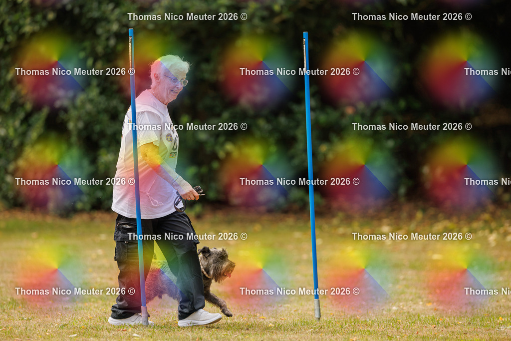 Thomas_Nico_Meuter(C)_22. August 2026_223A2236 | Bild von Thomas Nico Meuter - Realisiert mit Pictrs.com