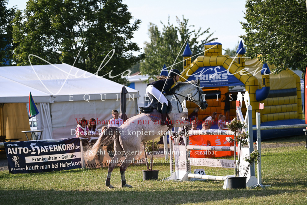 DSC_1751 | Pferde- und Turnierfotografie in Westsachsen. Pferdeportraits, Auftragszeichnungen und intuitive Kunst.