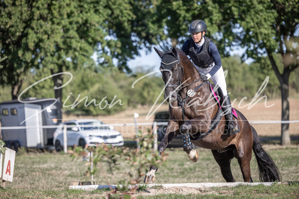20260906-_3LI1350 | Tierfotografie Pferde, Hunde, Katzen, Haustiere.
Turnierfotografie Reitturniere, Reiten, Springreiten, Dressur in Hanau, dem Main-Kinzig-Kreis und dem Rhein-Main- Gebiet um Frankfurt
