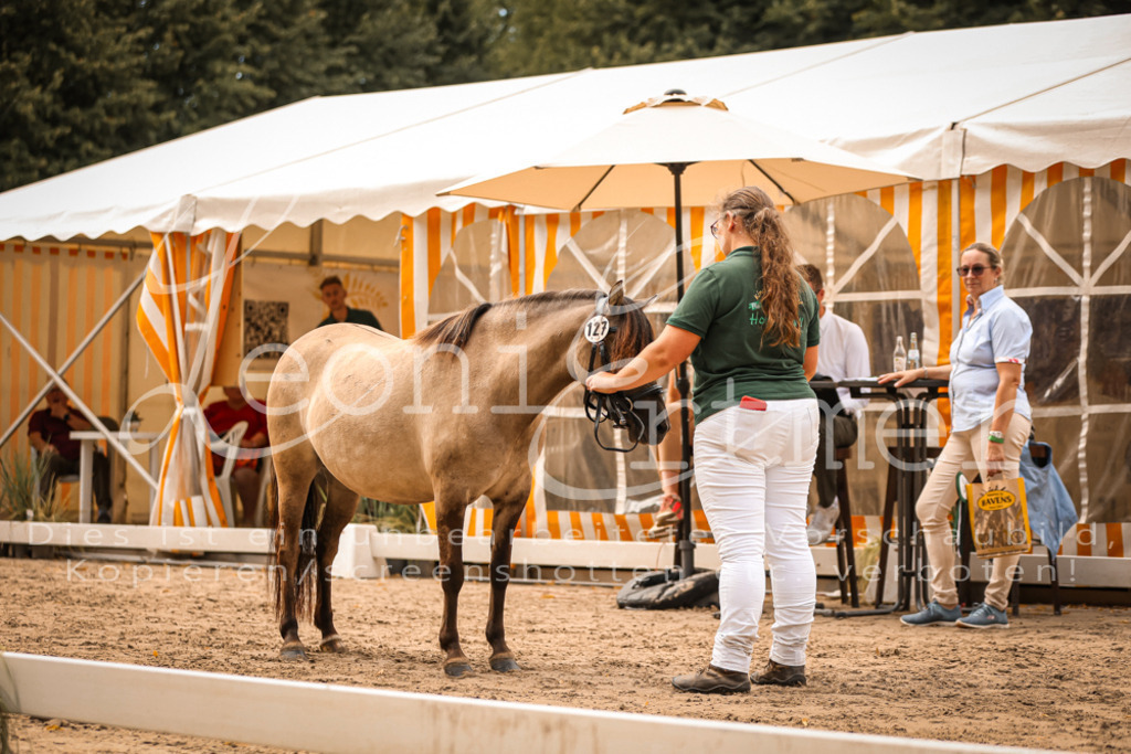 03.So00123 | Leoni Ertmer Photography - Realisiert mit Pictrs.com