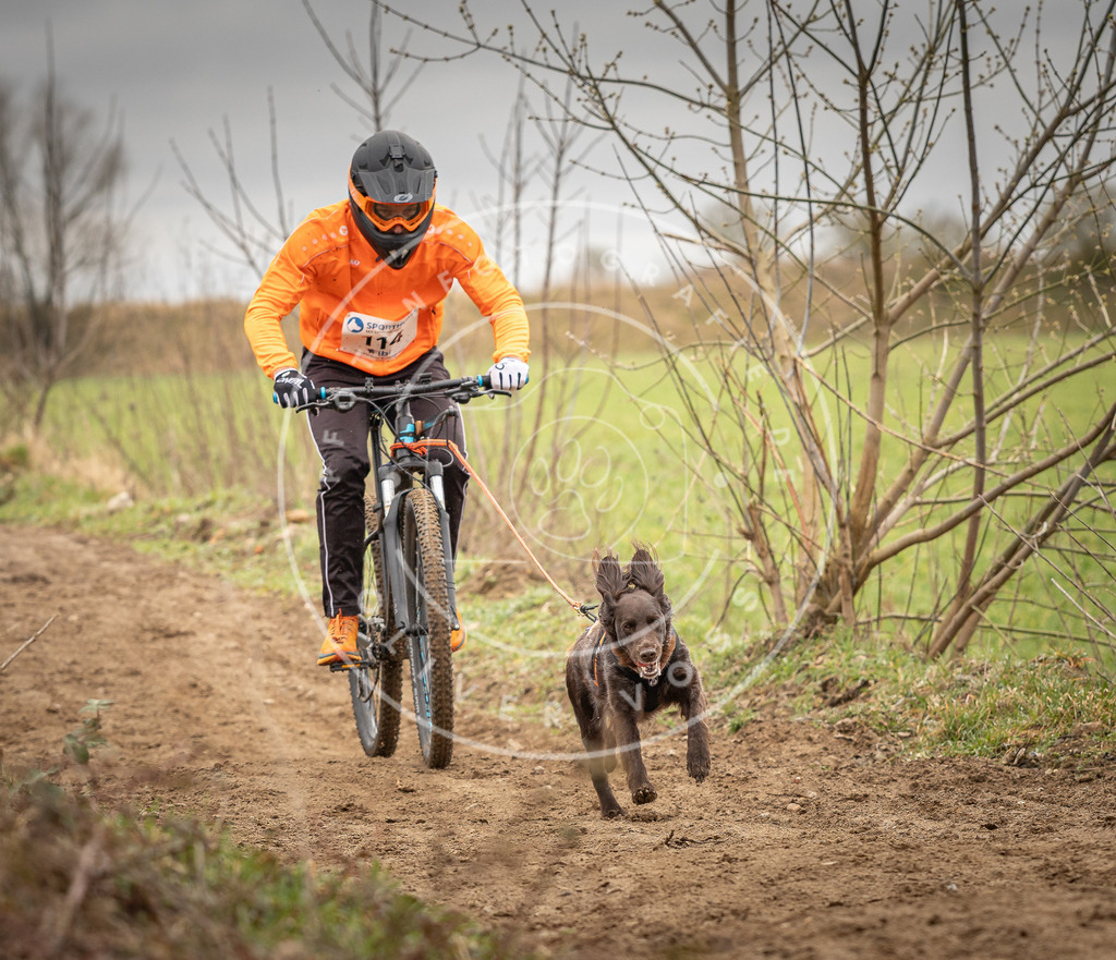 DV3A0813 | Hundefotografie, Tierfotograf, Pfotenfotografie, Fotoshooting Hund, Hunde Portrait, Hundesport, Hundeportraits, Heideshooting, Hunde, Sportfotograf, Hundefotograf, Turnierhundsport, THS,  - Realisiert mit Pictrs.com