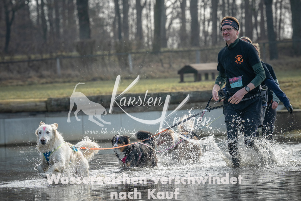 1000_ZZ95244 | kk-dogfotos