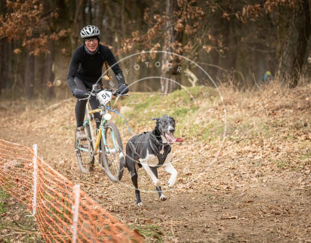 Pfotenfotografie_DV3A3003 | Hundefotografie, Tierfotograf, Pfotenfotografie, Fotoshooting Hund, Hunde Portrait, Hundesport, Hundeportraits, Heideshooting, Hunde, Sportfotograf, Hundefotograf, Turnierhundsport, THS,  - Realisiert mit Pictrs.com