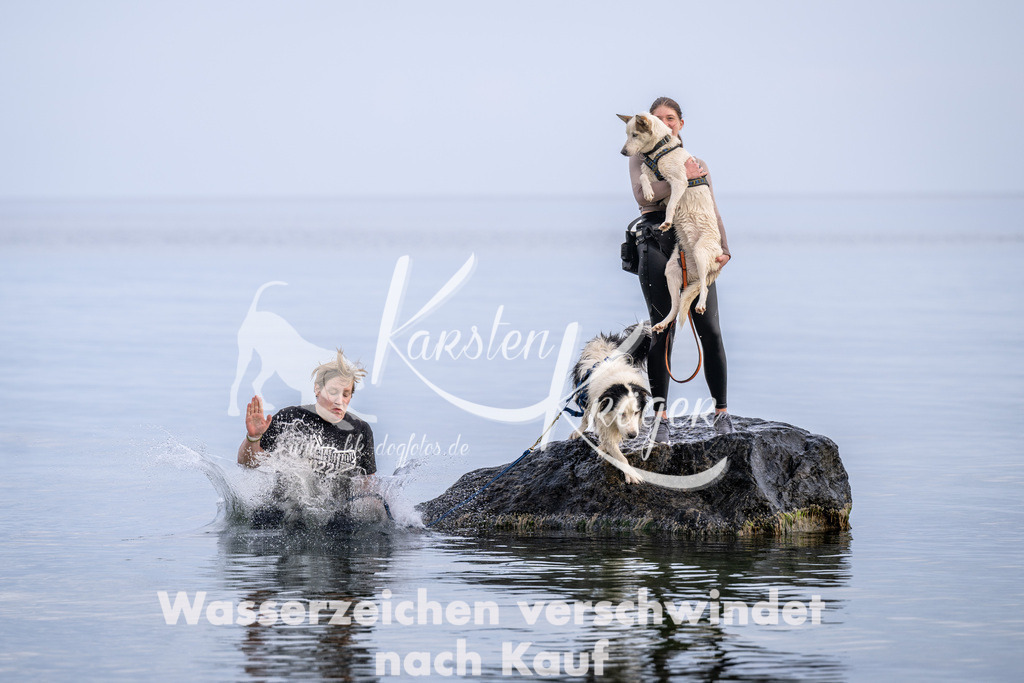 1210_ZZ90037 | kk-dogfotos