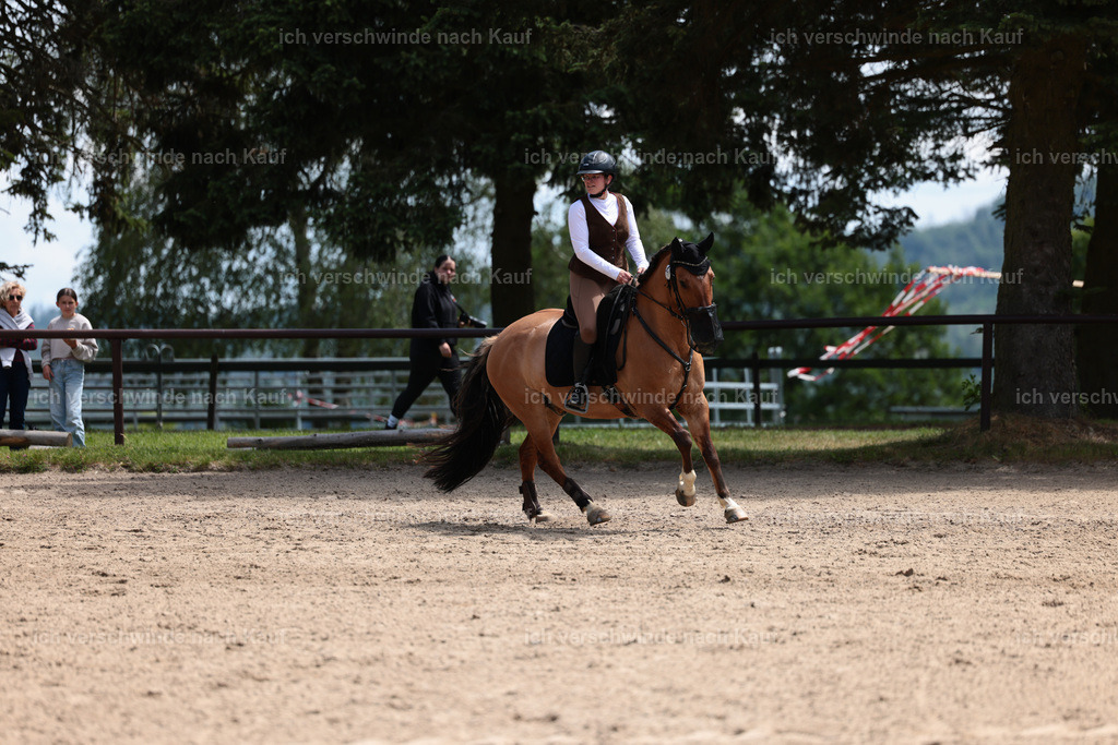 KlasseA_Stoibphotography_C2_L5759.JPG | working equitationturnier fotograf videograf stoibphotography marixx film working equitation deutschland reitsport turnierfotografie eventfotografie equestrian events