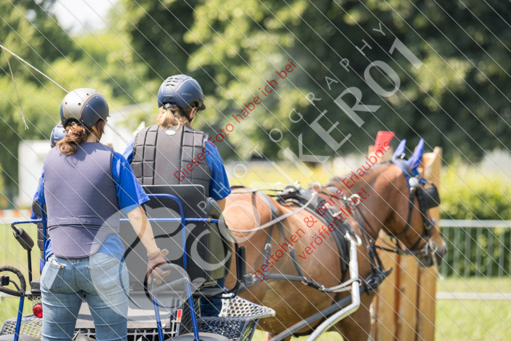 IMG_8079 | Sport-, Event- und Tierfotos in Profiqualität. Einfach auswählen, bestellen und herunterladen. Dein Moment – perfekt festgehalten.