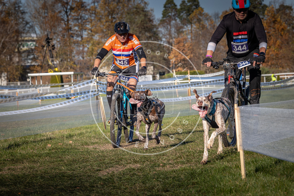 CaniXpix_0L8A5992 | Hundefotografie, Tierfotograf, Pfotenfotografie, Fotoshooting Hund, Hunde Portrait, Hundesport, Hundeportraits, Heideshooting, Hunde, Sportfotograf, Hundefotograf, Turnierhundsport, THS,  - Realisiert mit Pictrs.com
