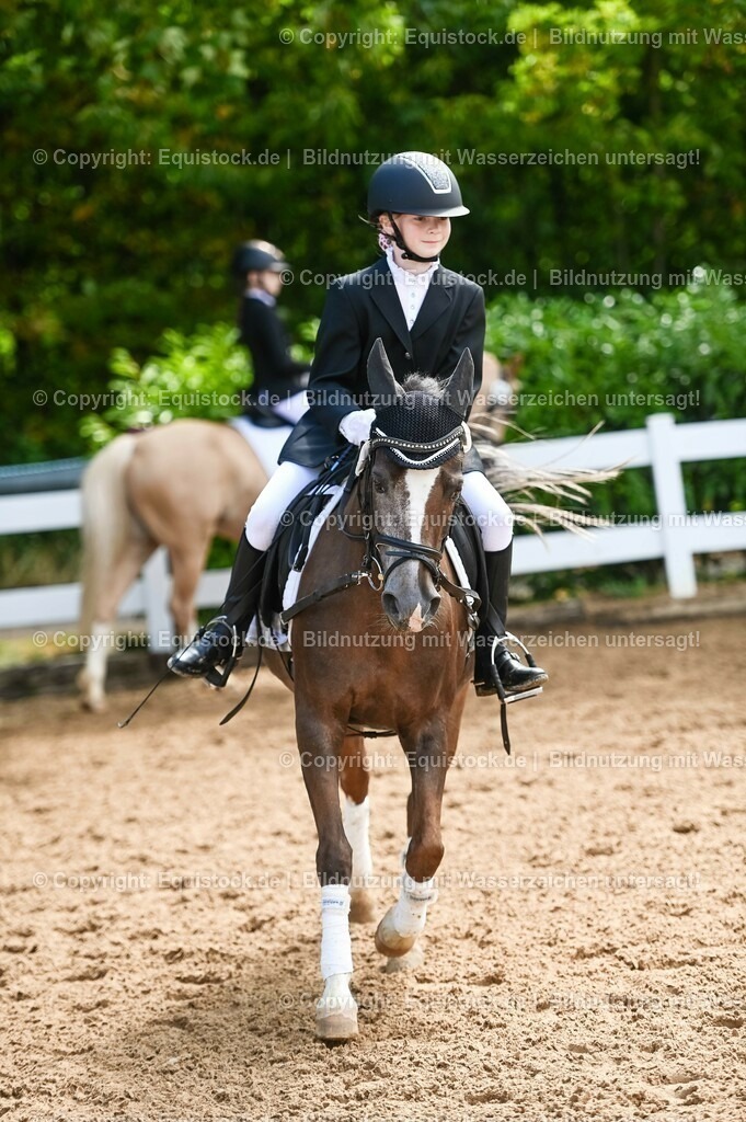 20230716_10-3_Reiter-WB Schritt - Trab - Galopp_0069 | equistock
