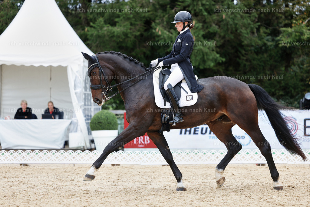 6-113-AMATUER-DRESSUR S_  -StoibPH-3615 | working equitationturnier fotograf videograf stoibphotography marixx film working equitation deutschland reitsport turnierfotografie eventfotografie equestrian events