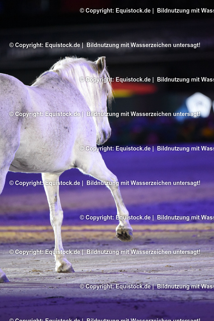 20231115_Show-Jean-Francois-Pignon_0077_TOMsPiC | Foto: Thomas Hartig