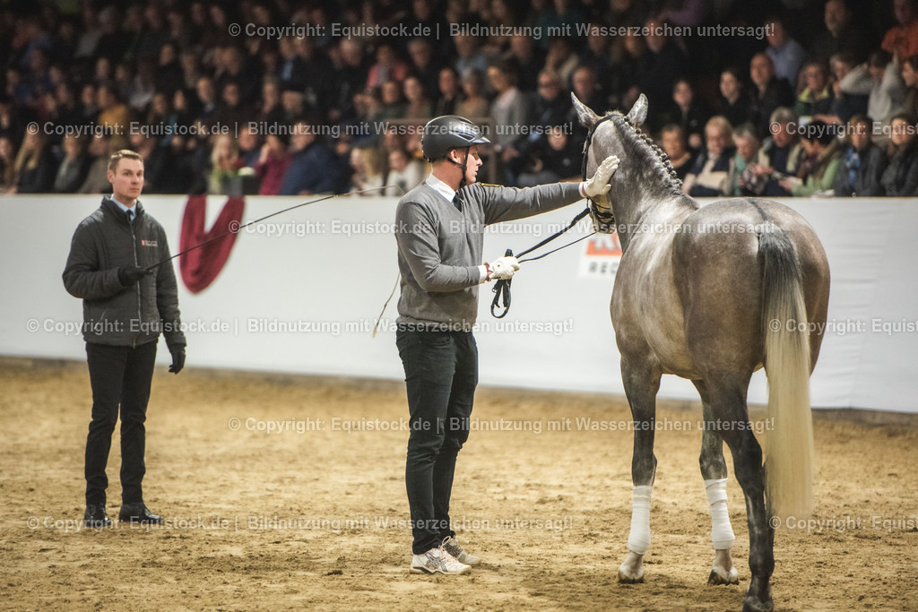 20240302_Hengstvorstellung_Marbach_TOMsPiC_0980 | equistock
