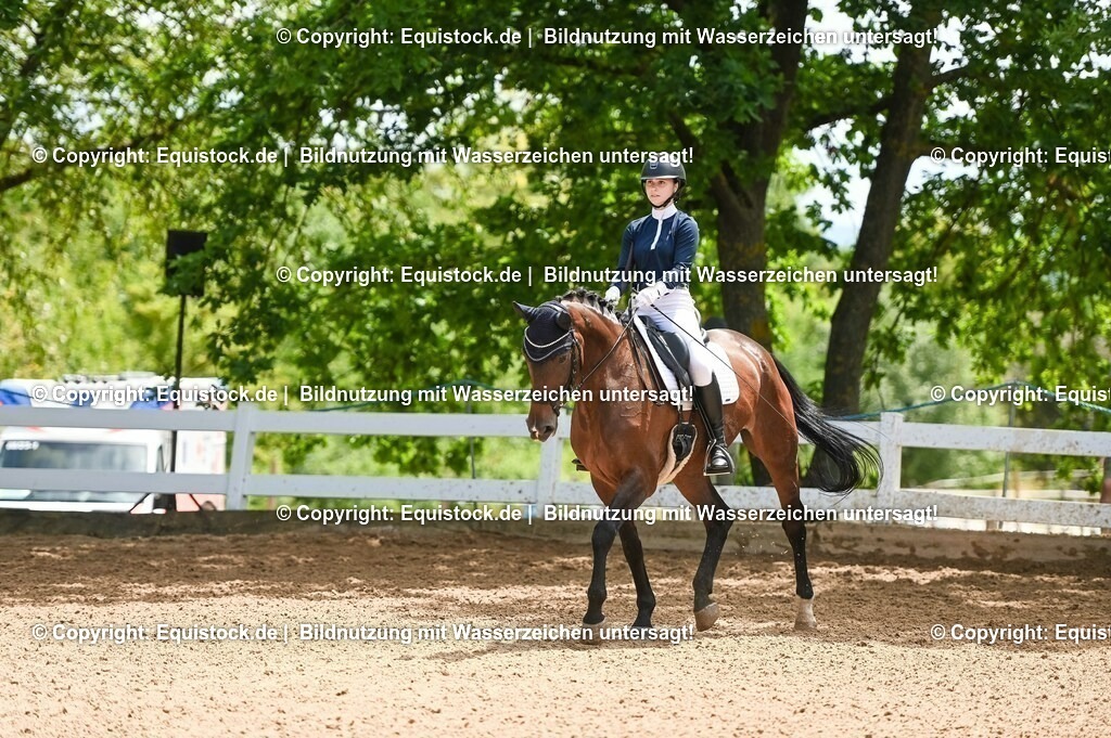 20230716_03_Dressurprfg. Kl.L - Tr._0286 | equistock