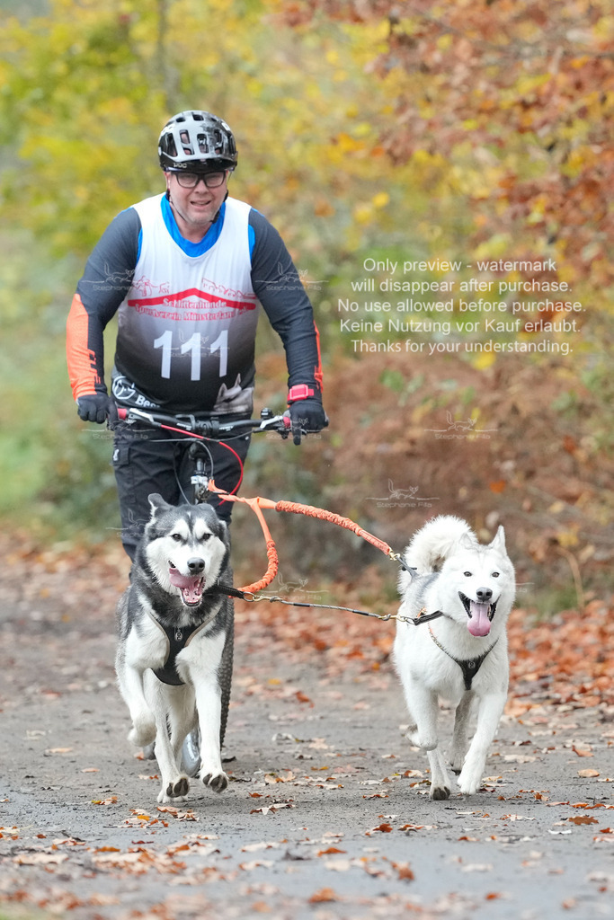 AusschnitteSo-23 | stephaniefillaphotographie - Realisiert mit Pictrs.com