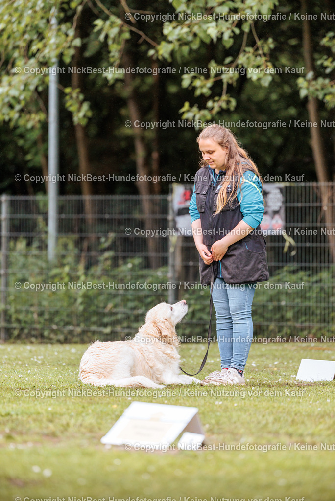 RO-Blumenthal-2026-Nickbest-Hundefotografie-0581 | Dein Hund! Dein Moment! Deine Erinnerungen! Hundefotografie in Bremen Blumenthal. Ich fange die besonderen Momente deines Vierbeiners ein – ob Indoor mit Blitzanlage oder in der freien Natur. Sicher dir dein Moment und dein Termin für eure Erinnerungen.