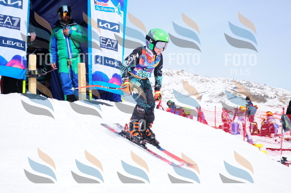 DSC_2521 | holidayphoto